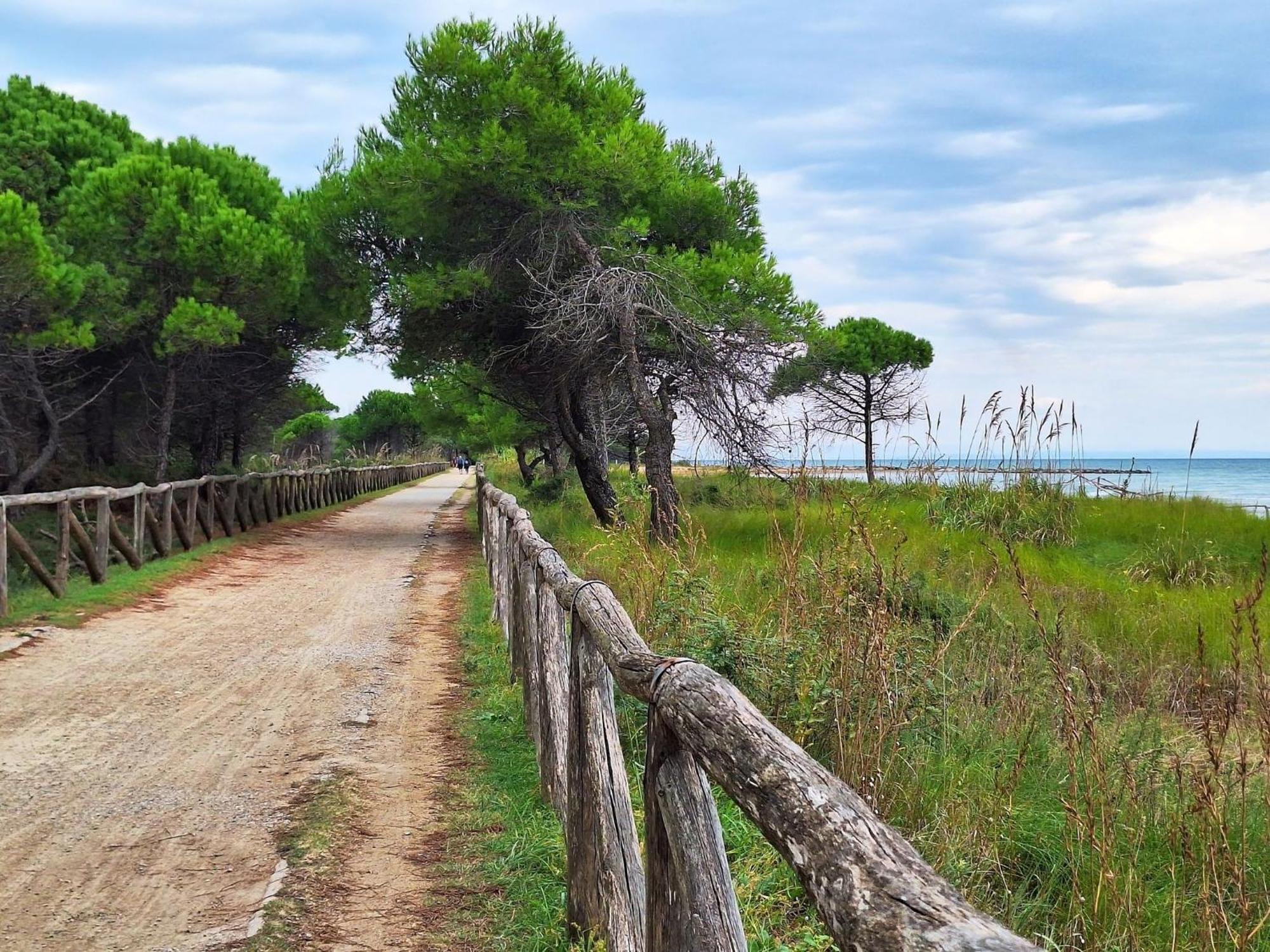 Comfortable Close To The - Beahost Apartment Bibione